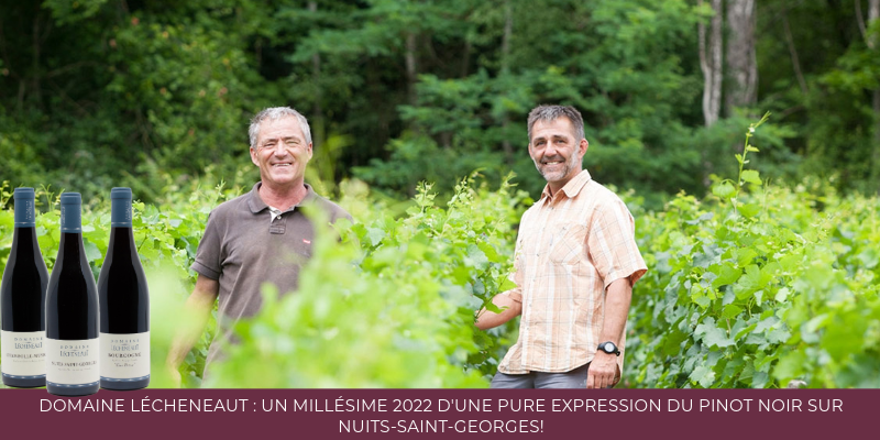Domaine Lecheneaut : un millésime 2022 d'une pure expression du pinot Noir sur Nuits-Saint-Georges!